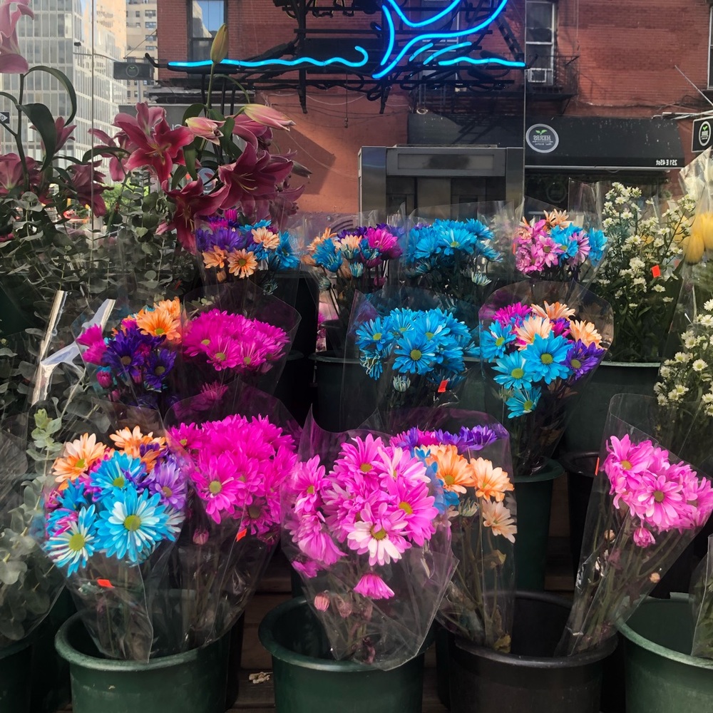 Meet your Posher, Maylin